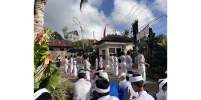 HARI RAYA SARASWATI DAN PIODALAN